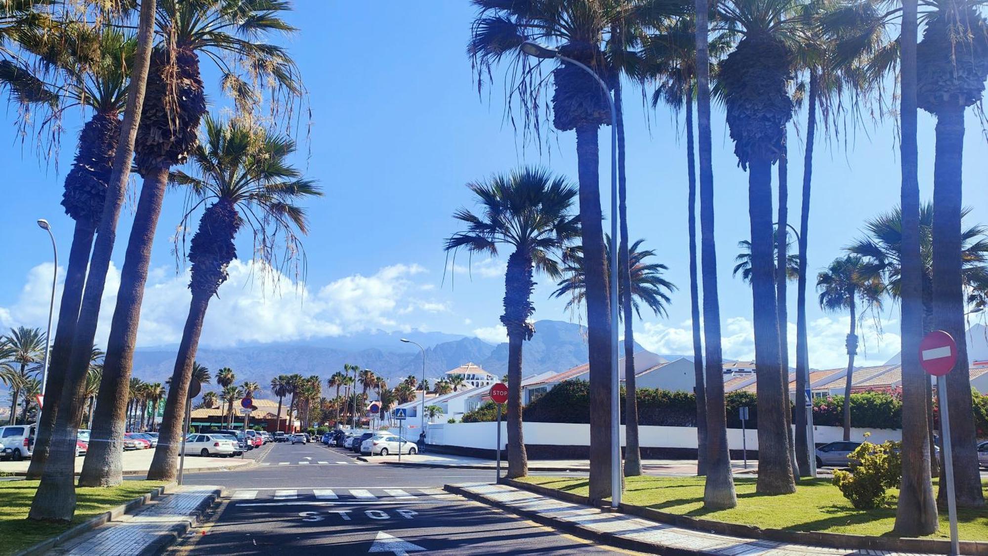 Parque Santiago 2 En Playa De Las Americas Арона Экстерьер фото